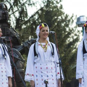 Višnjićevi dani 2013.